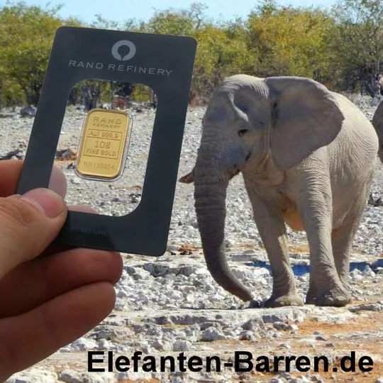 Elephant-Bar der Rand Refinery